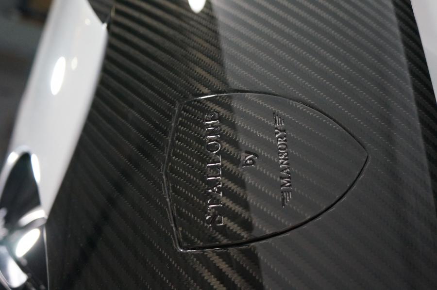 Детали экстерьера Ferrari F12berlinetta Stallone by Mansory 2013 года  (фото 24 из 24)